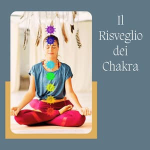 Il Risveglio dei Chakra: Meditazione Zen e Reiki per Equilibrare i Centri Energetici e Rilassarsi - Meditazione