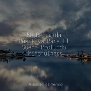 50 Recogida Positiva Para El Sueño Profundo Mindfulness - Yoga Sounds