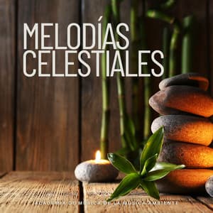 Melodías Celestiales: Música de Meditación Pacífica - Academia de Música de la Música Ambiente