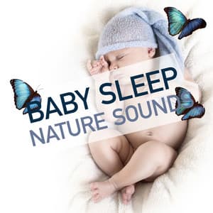 Baby Sleep Nature Sounds - Sweet Baby Sleep Baby