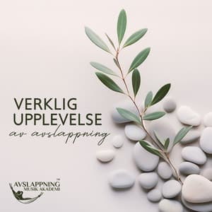 Verklig upplevelse av avslappning: Fridfull meditationsmusik för inre balans, djup sömn och sunda känslor - Djup Avslappningsövningar Akademi