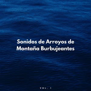 Sonidos De Arroyos De Montaña Burbujeantes Vol. 1 - Biblioteca XLE de sonidos de la naturaleza