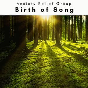 2023: Birth of Song - Anxiety Relief Group
