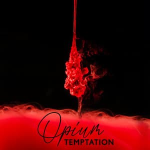 Opium Temptation: Kamasutra Experience, Smooth and Sexy India Chillout - Buddha’s Zone