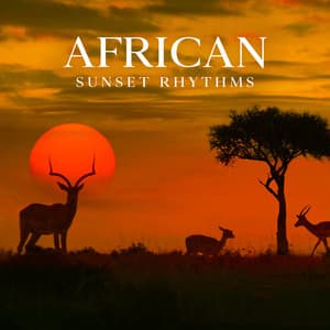 African Sunset Rhythms - African Music Drums Collection