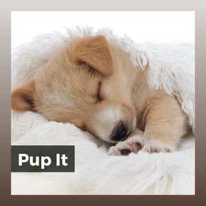 Pup It - Dog Sleep Dreams