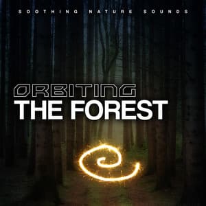 Orbiting the Forest - Soothing Nature Sounds