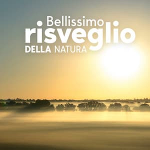 Bellissimo risveglio della natura: Meditazione per lasciar andare il vecchio e aprirsi al nuovo - Santuario dei suoni della natura