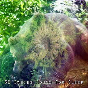 50 Babies Sound For Sleep - Baby Music