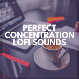 Perfect Concentration Lofi Sounds - Lofi Sad