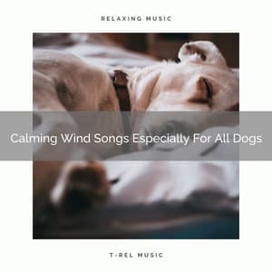 Calming Wind Songs Especially For All Dogs - Dog Relax