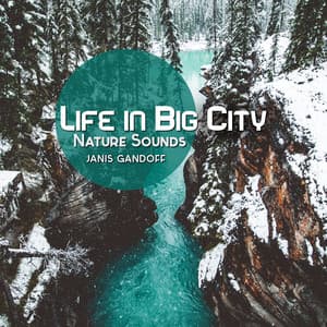 Life in Big City - Janis Gandoff
