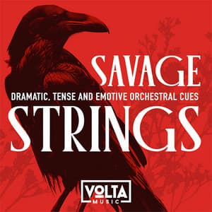 Savage Strings - Magnum Opus