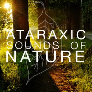Ataraxic Sounds of Nature - Sounds of Nature Relaxation