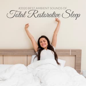 #2020 Best Ambient Sounds of Total Restorative Sleep - Calming Sounds Sanctuary