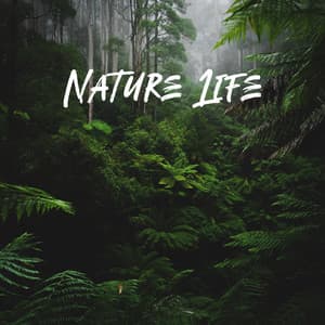 Nature Life - Relaxation & Reflection Time, Feel Closeness with Nature - Natural Therapy Music Academy