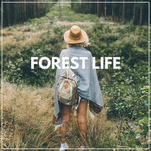 Forest Life - Sounds of Nature Noise