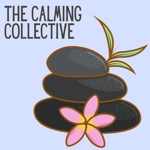 The Calming Collective - Spa Music