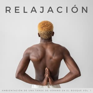Relajación: Ambientación De Una Tarde De Verano En El Bosque Vol. 1 - Sonido de la naturaleza