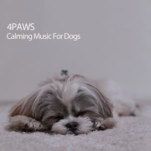 4Paws: Calming Music For Dogs - Dog Music Radio