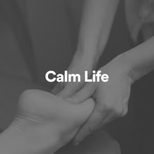 Calm Life - Calm Music