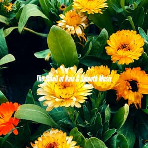 The Smell of Rain & Smooth Music - Vintage Cafe Playlist