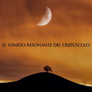 El Sonido Resonante Del Crepúsculo - Fondo de naturaleza y sonidos