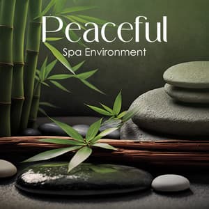 Peaceful Spa Environment: Soothing Session for Mind and Body with Zen - SPA & Wellness Massage Masters
