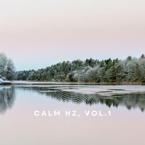 Calm Hz, Vol. 1 - Peter Ries