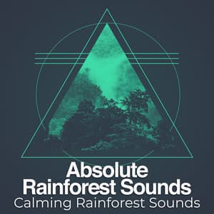 Absolute Rainforest Sounds - Calming Rainforest Sounds