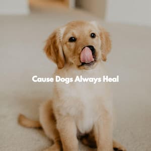 Cause Dogs Always Heal - Doggy Relaxing Sounds