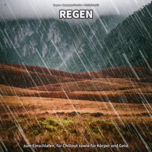 * Regen zum Einschlafen, für Chillout sowie für Körper und Geist - Regen