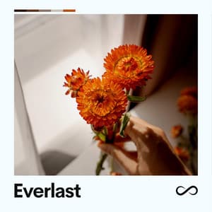 Everlast - Schlaflieder Relax