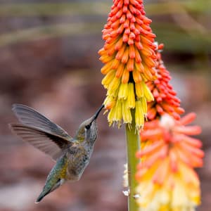 365 Healing: Mindful Beginnings - Relaxing Music Therapy