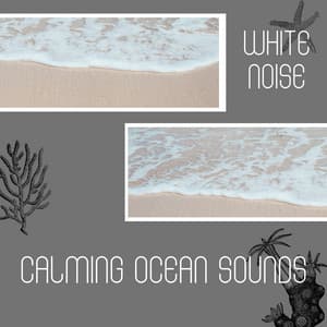 Calming Ocean Sounds and White Noise, Loopable - Sea Sounds Channel