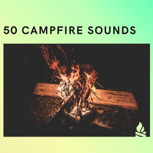 50 Campfire Sounds - Campfire & Fireplace