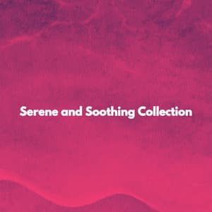 Serene and Soothing Collection - Coffee Shop Music Deluxe