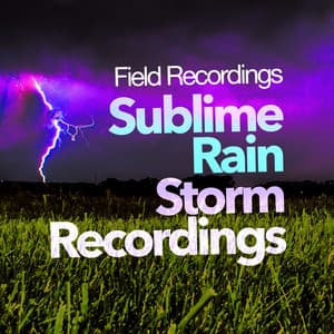 Sublime Rain Storm Recordings - Field Recordings