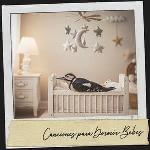 Canciones para Dormir Bebes: Arruyos de media noche - Relajacion