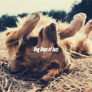 Dog Days of Jazz - Music for Dogs Radio
