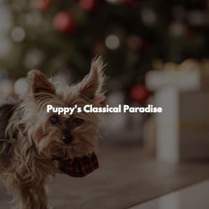 Puppy's Classical Paradise - Downtempo Restaurant Music