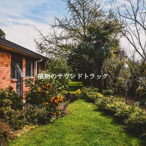 植物のサウンドトラック - Relaxing BGM Project
