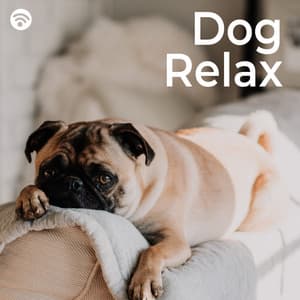 Dog Relax - Sleeping Music For Dogs