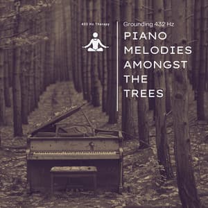 Grounding 432 Hz Piano Melodies Amongst the Trees - 432 Hz Therapy