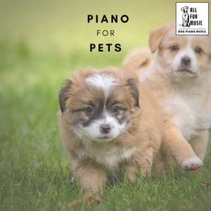 Piano for Pets - Jingle Cats