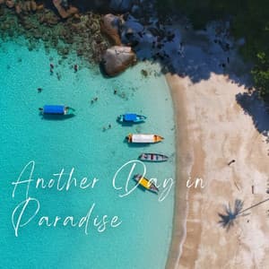 Another Day in Paradise - Relaxing Study Music Playlists