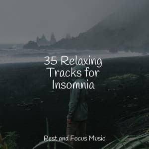 35 Relaxing Tracks for Insomnia - Powerthoughts Meditation Club