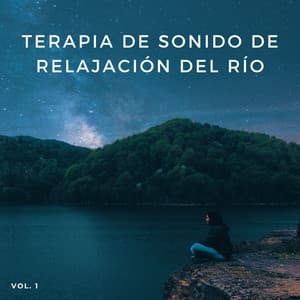 Terapia De Sonido De Relajación Del Río, Vol. 1 - Centro de Efectos de Agua