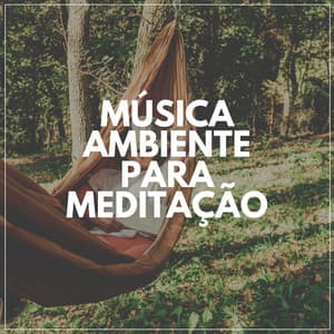Música Ambiente Para Meditação - Musicoterapia