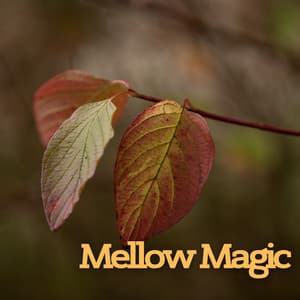 Mellow Magic - #Relaxing Chillout Beats